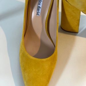 Charles David pumps